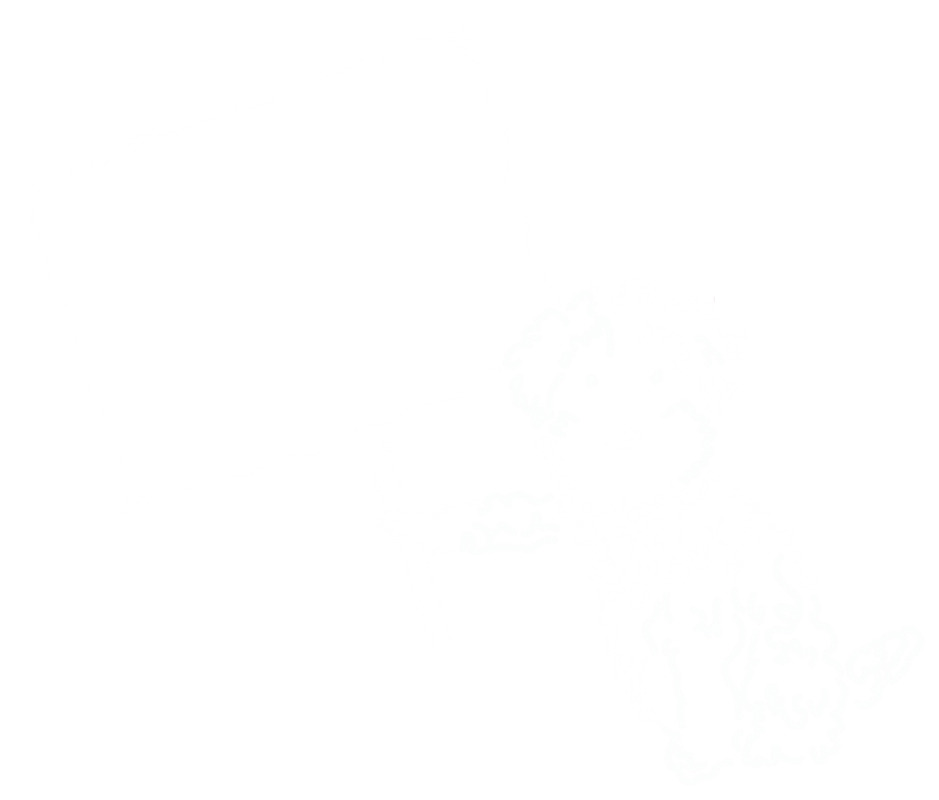 No puedes faltar!